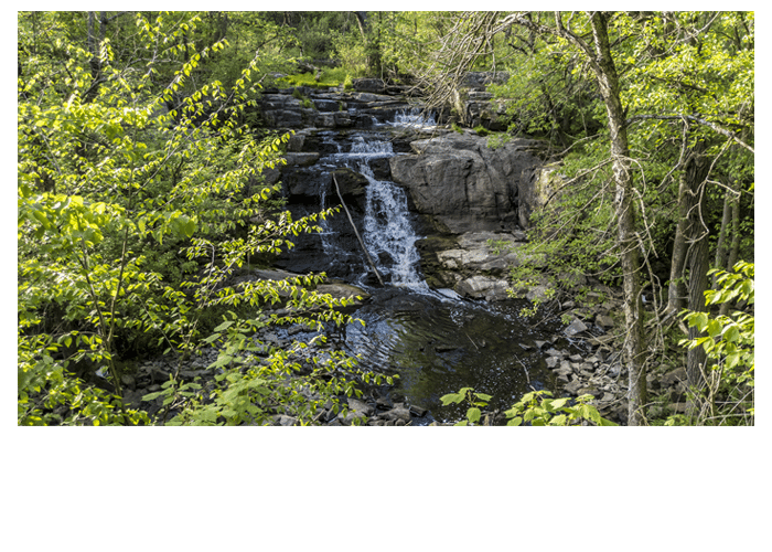 Lyn Falls in Summer